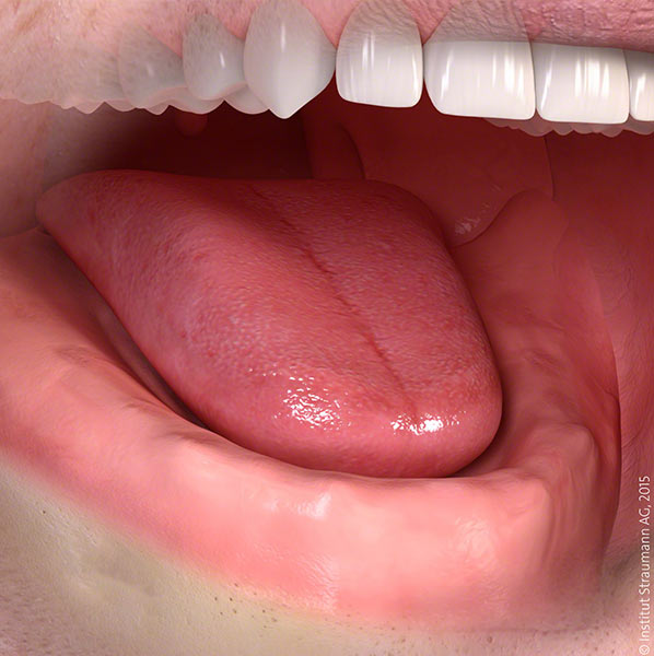 teeth
