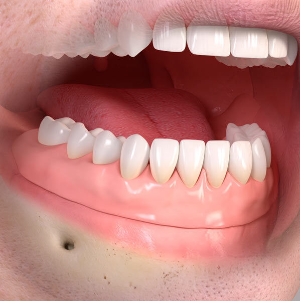 teeth